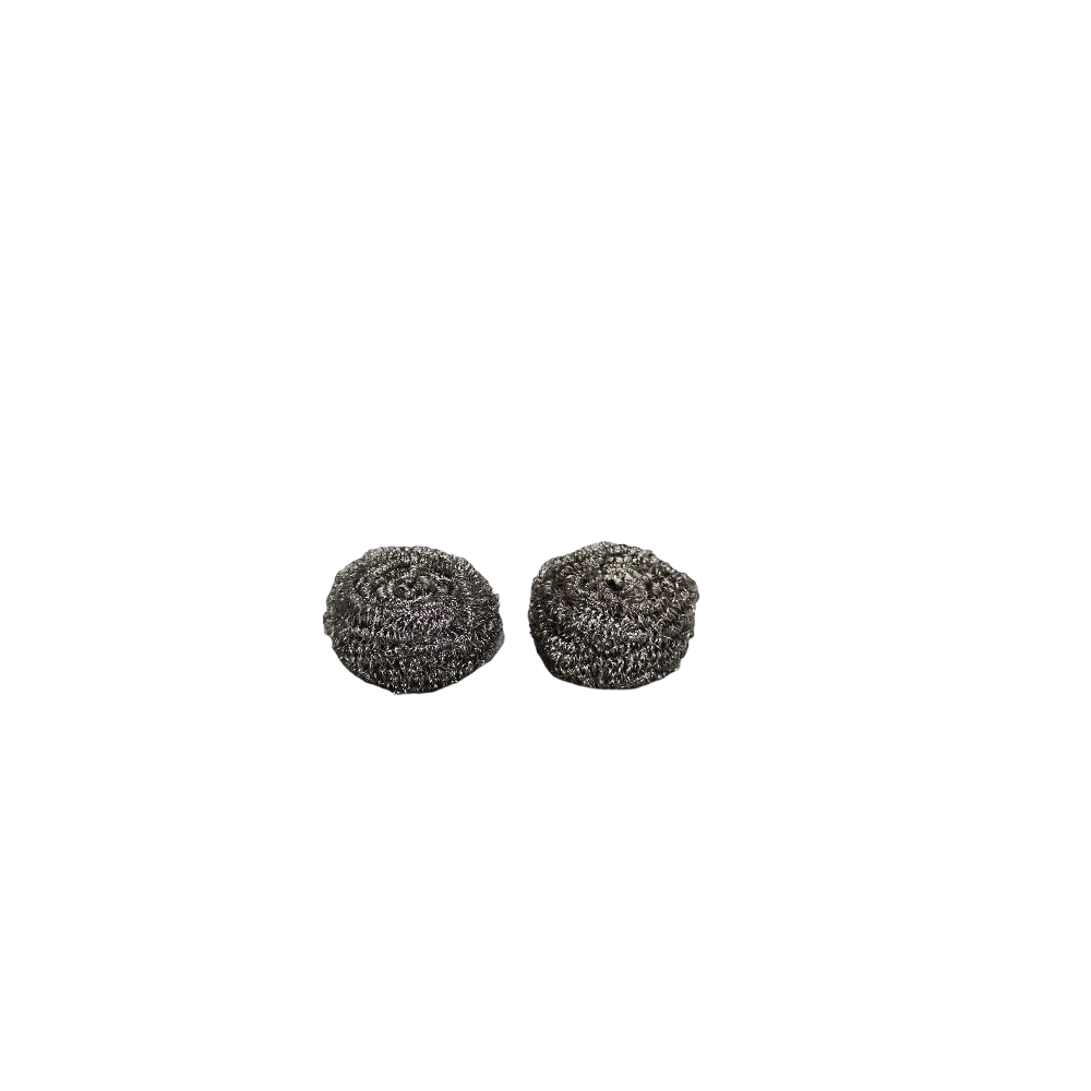 Stainless Steel Scours 2PK