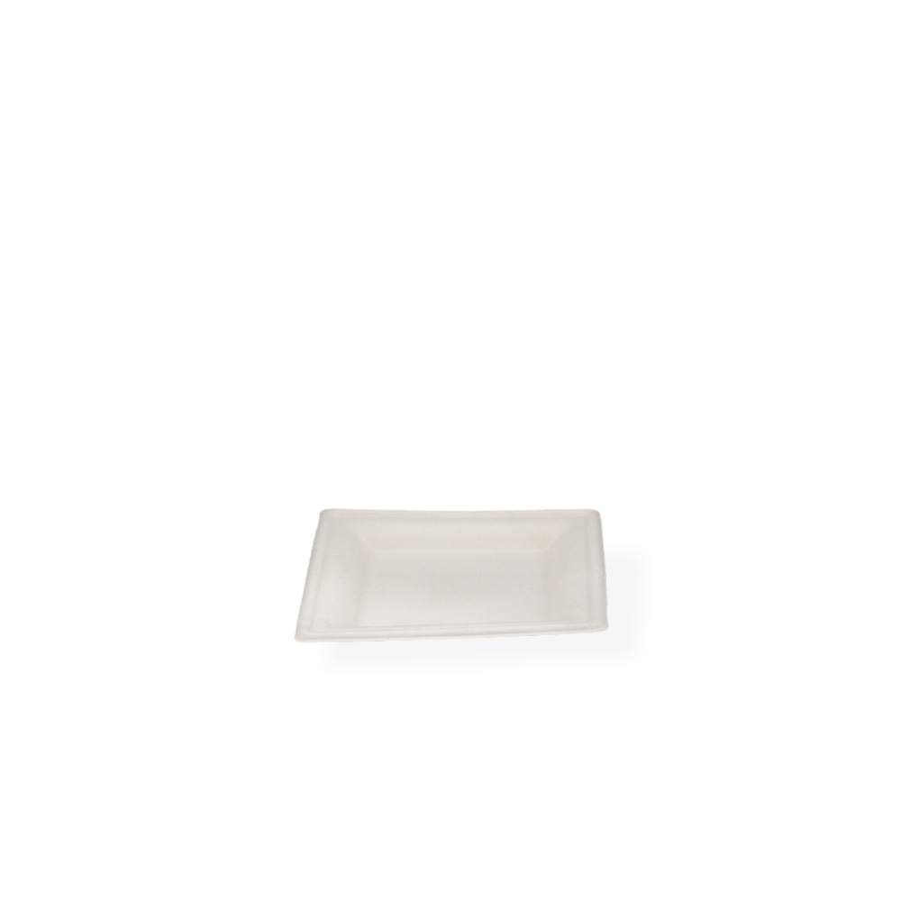 Biodegradable Square Plate (50pc)