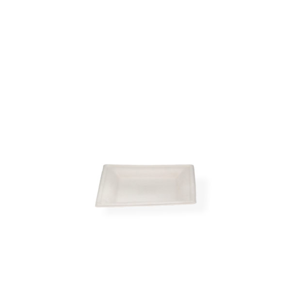 Biodegradable Square Plate