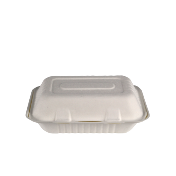 Biodegradable Takeaway Clamshell 9x6"